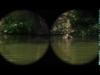 alexandra rukavina - mouthful of dirt / aleksandra rukavina - usta puna zemlje (2023)